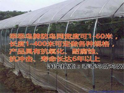 寒江独钓 图鸟の诗意心象
